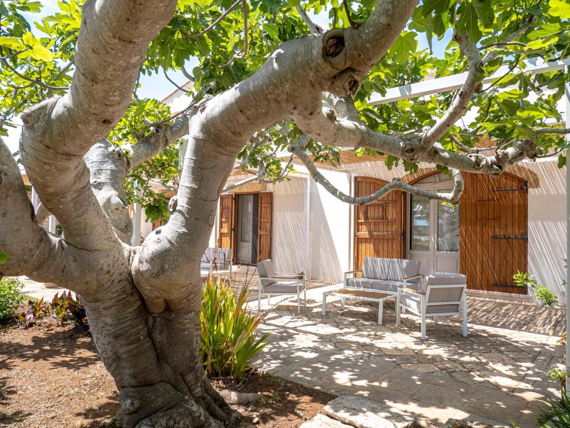 Agriturismo Masseria Alcorico Gagliano del Capo Zewnętrze zdjęcie